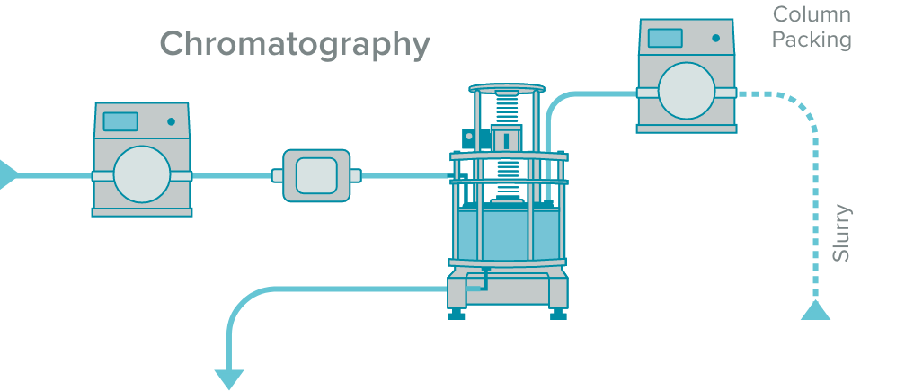 chromatography diagram_1007x435